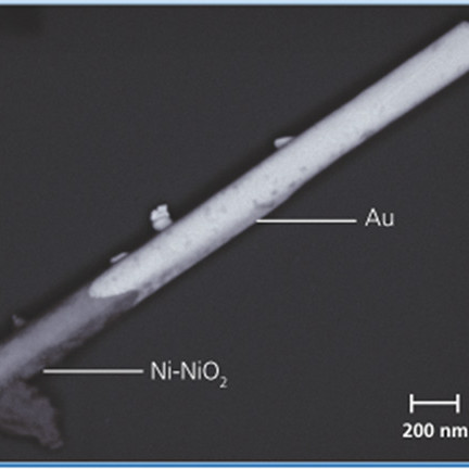 SEM picture of nanowire with metallic caps for nonoprobing