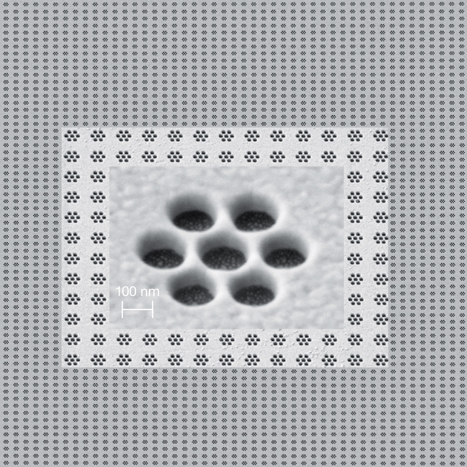 SEM image of Large plasmonic array of small features