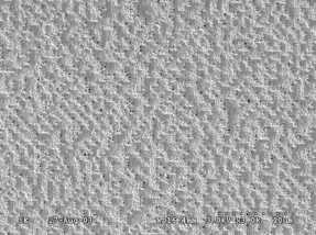 SEM image of “grayscale phase hologram”