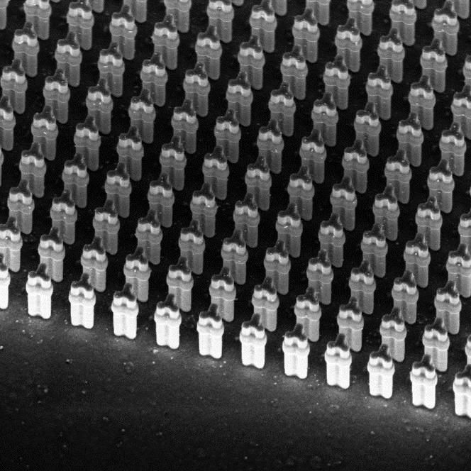SEM image showing 2D crystal of artificial gold nanoparticles with quasi-3D shape control