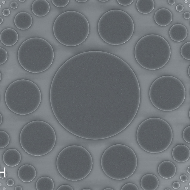 SEM image of a photonic sieve