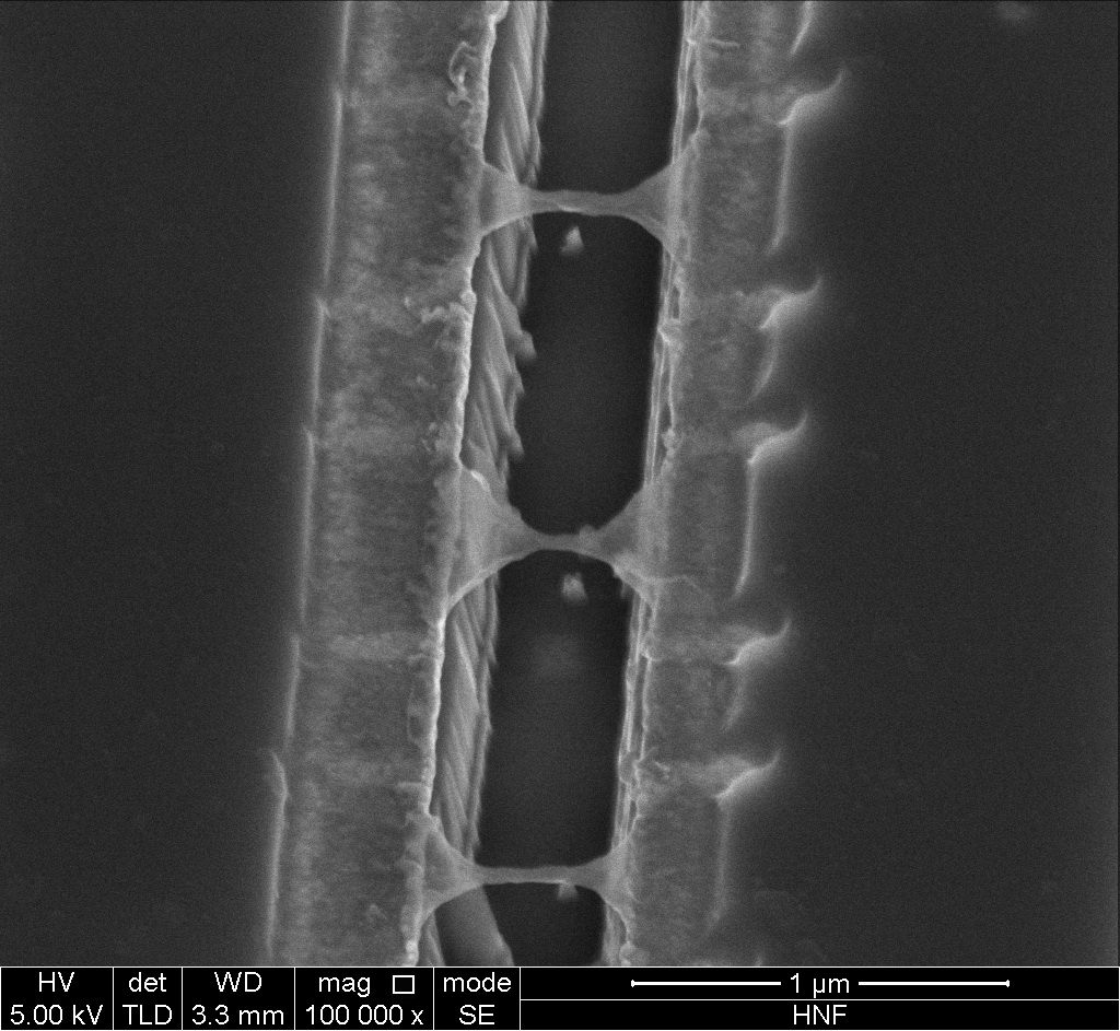 SEM image of a graphene QD