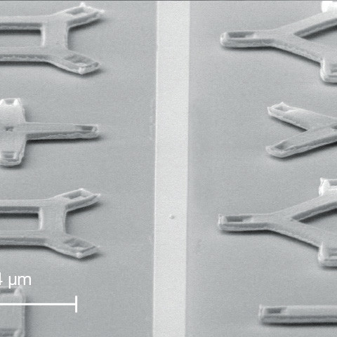 SEM image of free-standing crystalline oxide nano-resonators