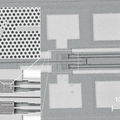 SEM image showing a pair of single-photon nodes in an integrated circuit