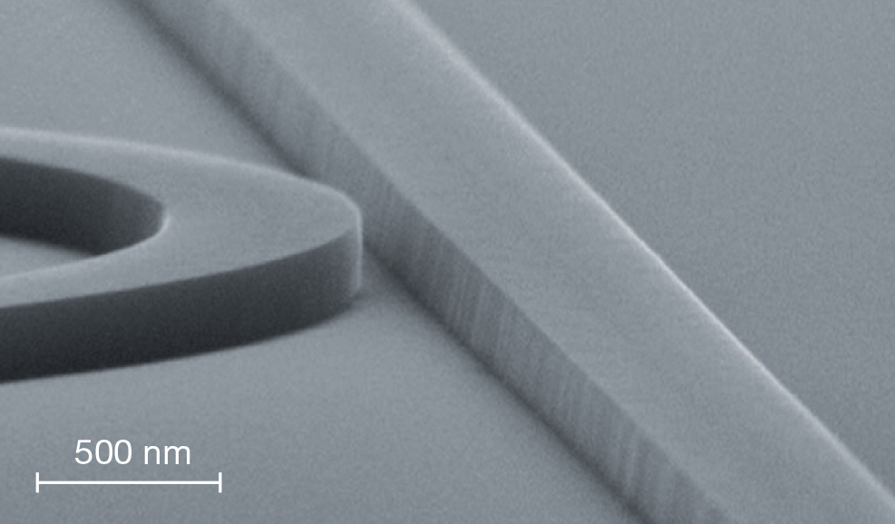 SEM image of the Gap of a ring resonator