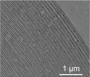 SEM image of a outer zones of a binary FZP