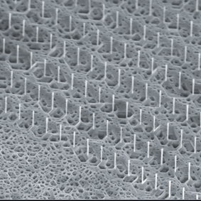 SEM Image showing Multiple Quantum Well Nanopillars on n-GaN substrate