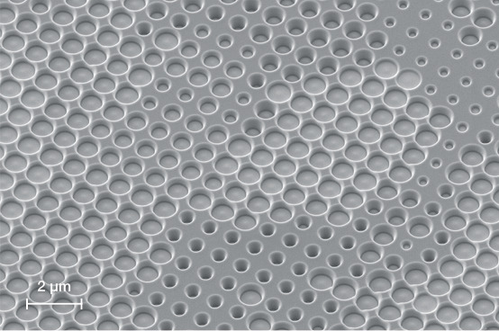 SEM image of varying cylindrical holes ,illed in silicon with gold ions