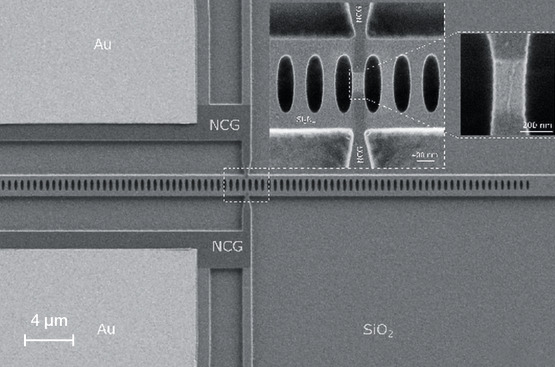 SEM image of Electrically controlled 1D semiconducting carbon nanotube emitter integrated between 2D nanographene electrodes coupled in cross-bar photonic crystal cavity