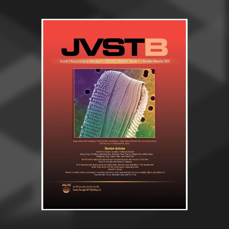 cover of the JVST journal showing an deatailed ion image of a diatom