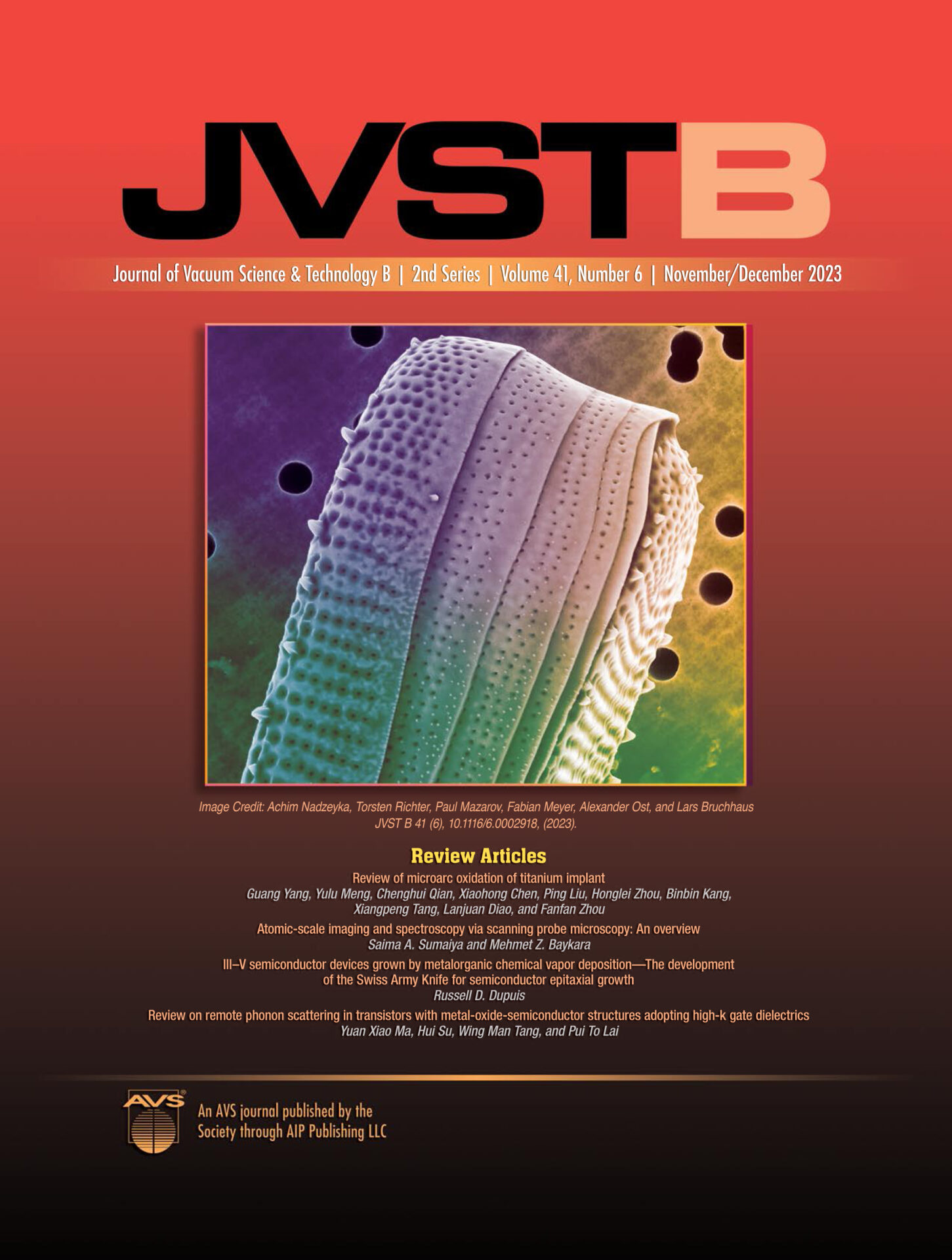 cover of the JVST journal showing an colored ion image of a diatom