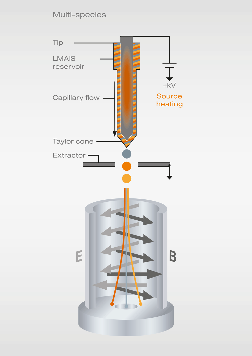 Schematic of the Liquid Metal Alloy Ion Source of the FIB column