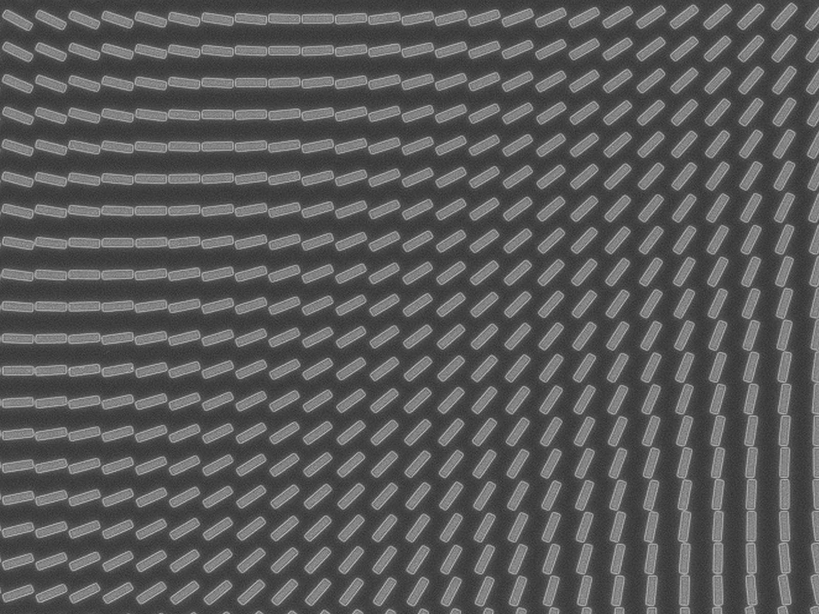 SEM image of a metalens structure