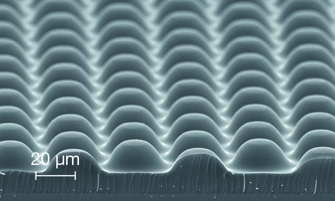 Image of a micro lens array