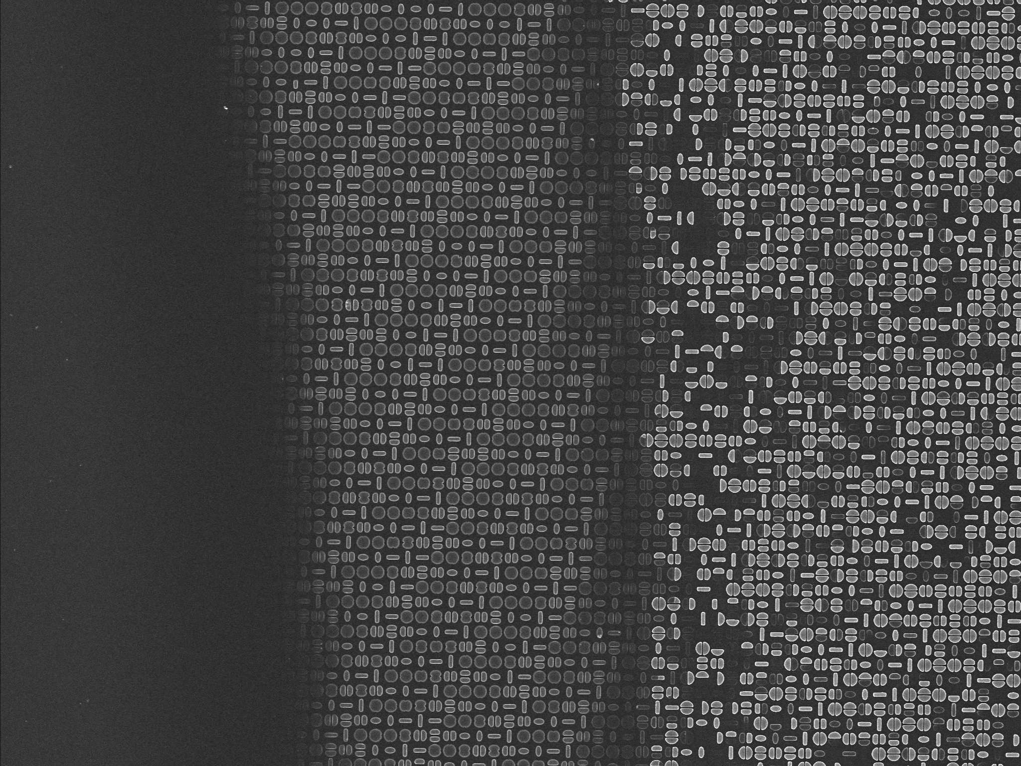 EM image of a nanoimprinted metalens