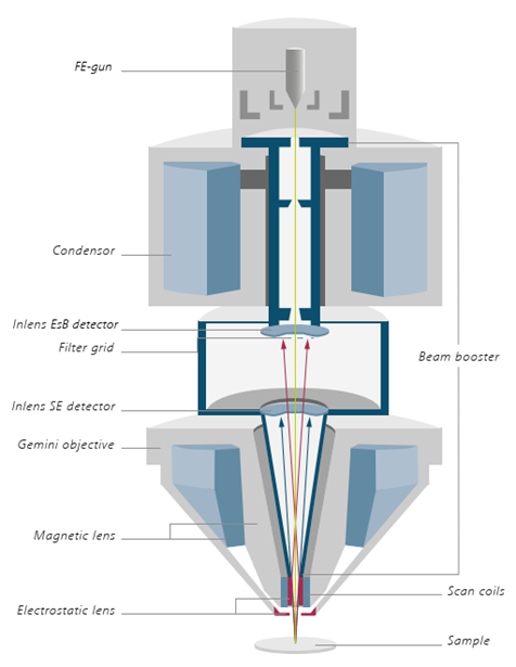 Graphic of a FE-Gun which is being used for ProImage technology by RAITH